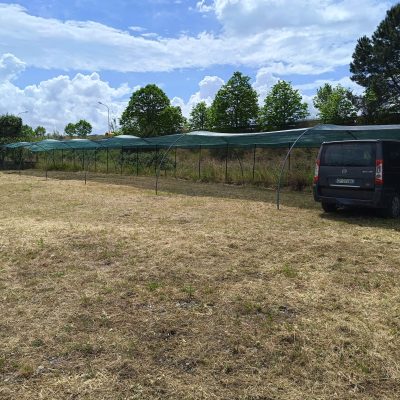 Immagine WhatsApp 2025-04-24 ore 17.55.05_2d6eef16