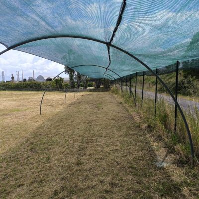 Immagine WhatsApp 2025-04-24 ore 17.55.05_4b63edc4