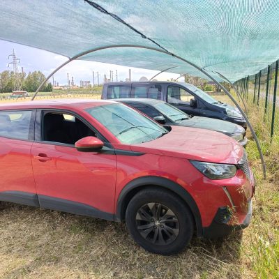 Immagine WhatsApp 2025-04-24 ore 17.55.05_4b8d067a