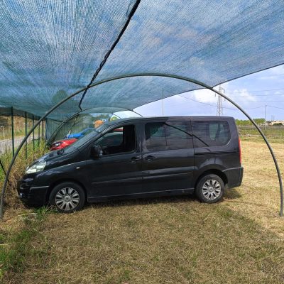 Immagine WhatsApp 2025-04-24 ore 17.55.06_699eb7f3