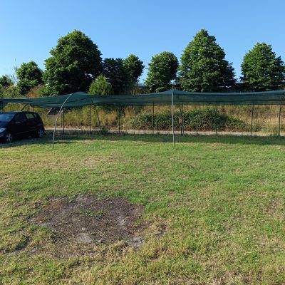 Immagine WhatsApp 2025-05-27 ore 08.40.39_6d0e23ea