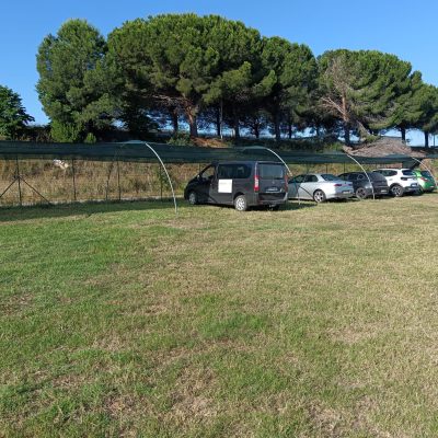 Immagine WhatsApp 2025-05-27 ore 08.40.40_2fbc8650