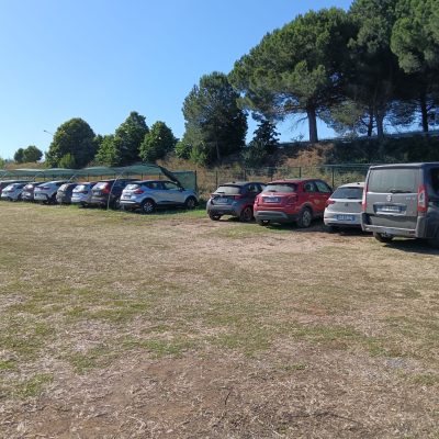 Immagine WhatsApp 2025-06-02 ore 09.10.16_484d4f05