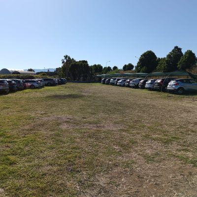 Immagine WhatsApp 2025-06-02 ore 09.10.17_a87d8928